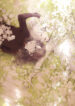Cover 22146