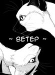 Cover 22170