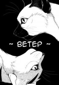 Cover 22170