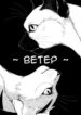 Cover 22170