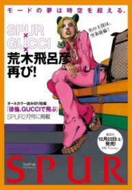 Cover 22194