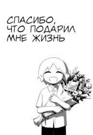 Cover 22216
