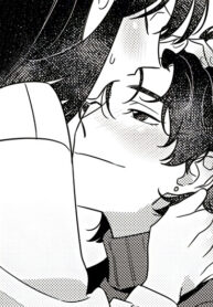 Cover 22234
