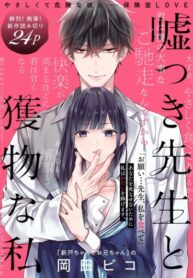 Cover 22340
