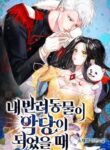 Cover 22350