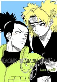 Cover 22355