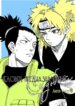 Cover 22355
