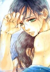Cover 22392