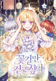 Cover 22468