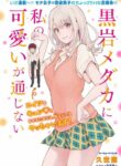 Cover 22620