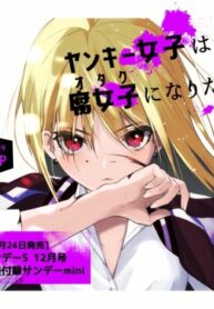 Cover 22638