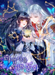 Cover 22703