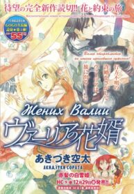 Cover 22729
