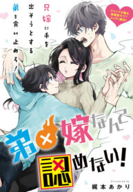Cover 22750