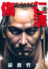 Cover 22806