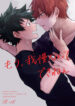 Cover 22966