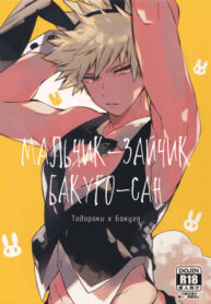 Cover 22977