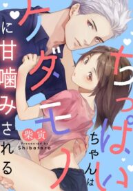 Cover 22984