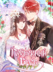 Cover 23103