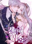 Cover 23118