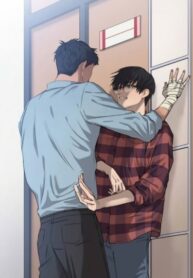 Cover 23152