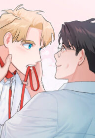 Cover 23160