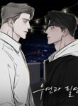 Cover 23166