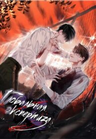 Cover 23188