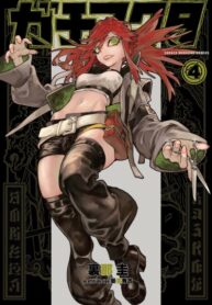 Cover 23250