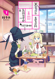 Cover 23262