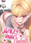 Cover 23354