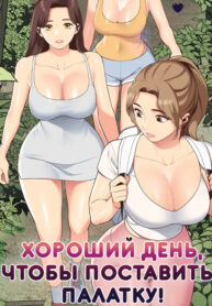 Cover 23386