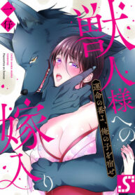 Cover 23423