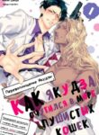 Cover 23530