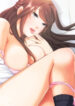 Cover 23618