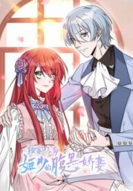 Cover 23678