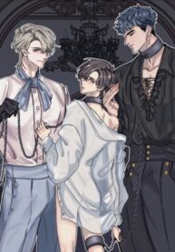 Cover 23760