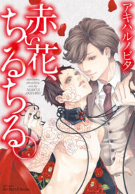 Cover 23776