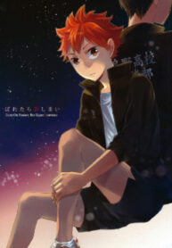 Cover 23914