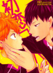 Cover 23918
