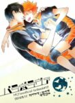 Cover 23956