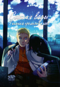Cover 23960