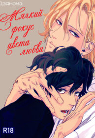 Cover 23968