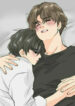 Cover 23986