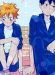Cover 24004