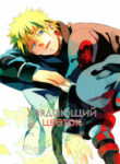 Cover 24018