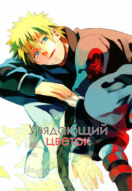Cover 24018