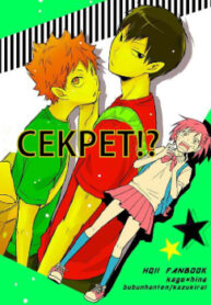 Cover 24020