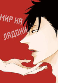 Cover 24024