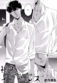 Cover 24026